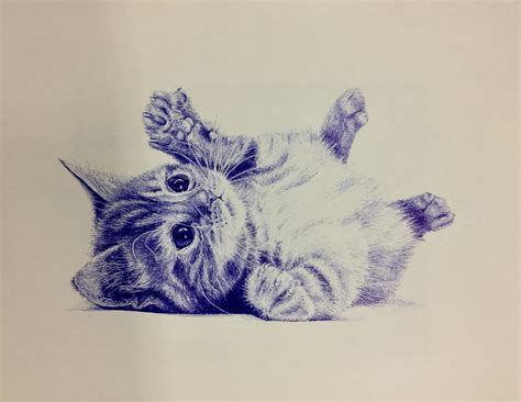 ArtStation - Ballpoint pen drawing of a playful kitten