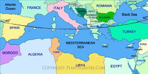 Mediterranean Sea Location On World Map – Interactive Map