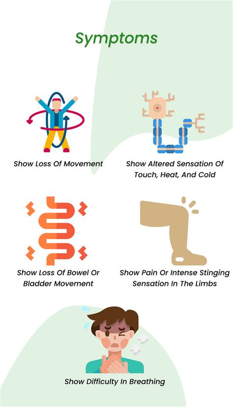 Stem Cell for Spinal Cord Injury 2023( All You Need To Know) | ClinicSpots