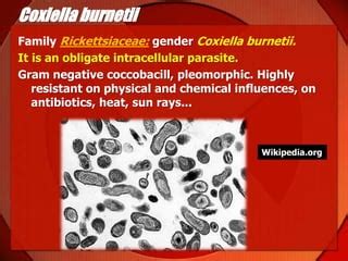 Coxiella burnetii | PPT