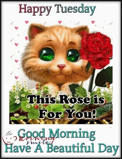 Rose For Happy Tuesday Good Morning Quote | Tuesday quotes good morning ...