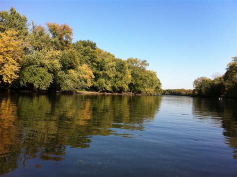 Fall on the Illinois River | Illinois river, River, Favorite places