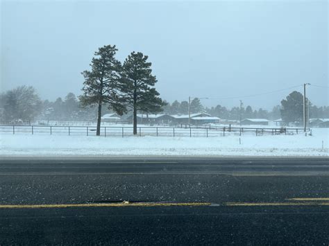 Flagstaff Snow Totals 2024 - Rois Vivien