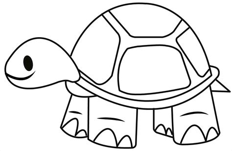 Line Drawing Turtle at GetDrawings | Free download