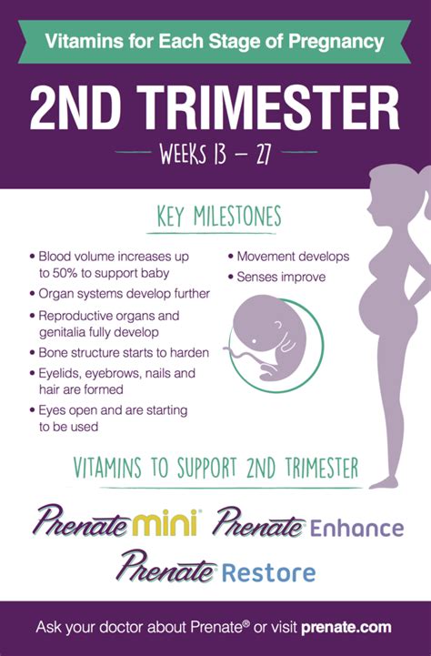 Prenatal Vitamins for Each Stage of Pregnancy: Second Trimester ...