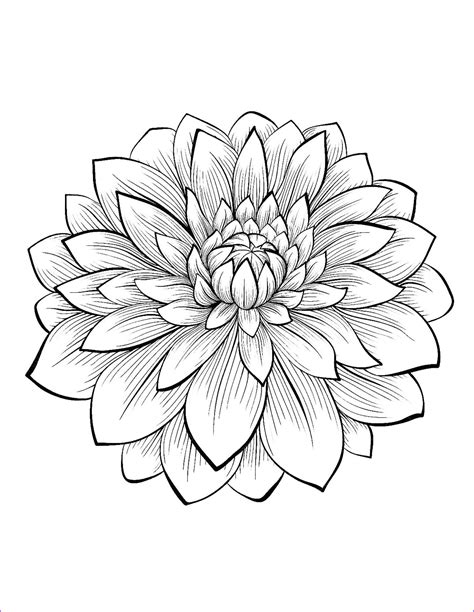 Flowers Coloring Book Coloring Pages