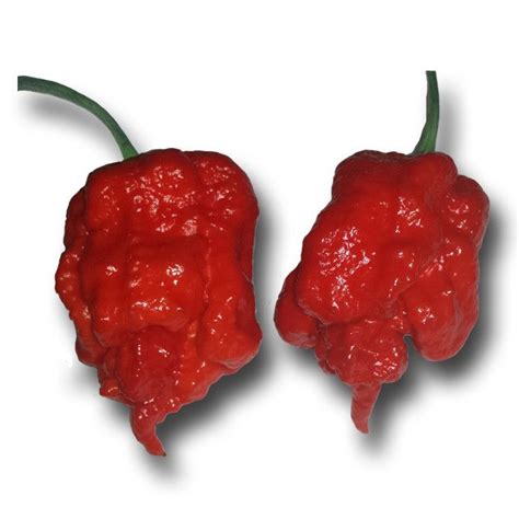 Carolina reaper pepper scoville scale - limofusion