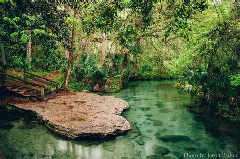 Rock Springs at Kelly Park | Kelly park, Kelly park rock springs, Rock springs