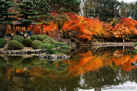 Autumn Colors At The 400 Years Old Shukkeien Garden, Hiroshima - Nerd Nomads