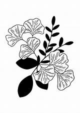 Botanical Coloring Pages Bugs Flowers Plants Printable Nature Art  sketch template