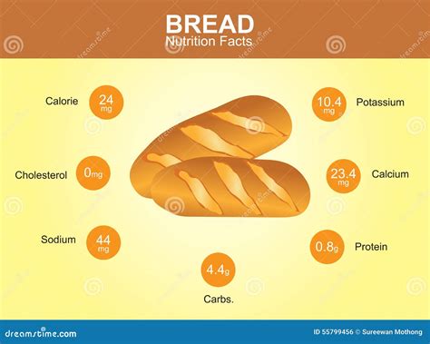 Bread Nutrition Facts, Bread with Information, Bread Vector Stock ...