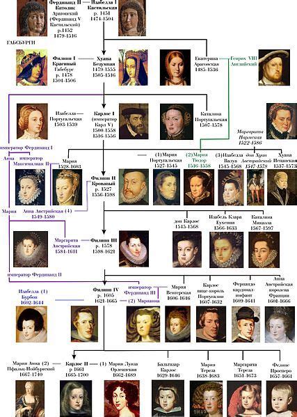 Habsburg Dynasty (abridged) Family Tree. | Family tree history ...