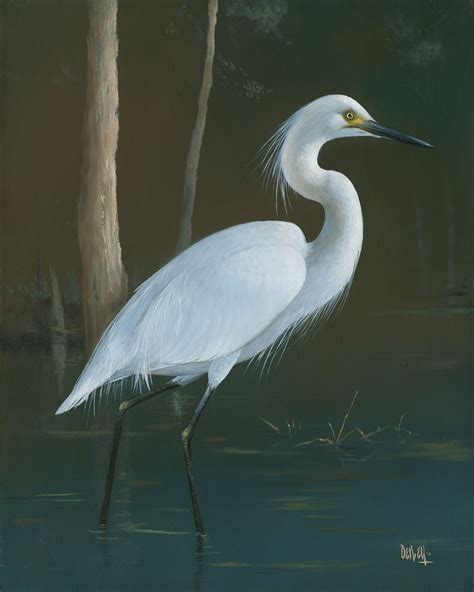 Great White Heron | Works Of Art | Coastal birds, Heron, Original artwork