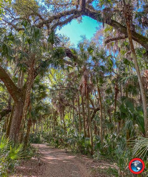 Highlands Hammock State Park - ETB Travel Photography