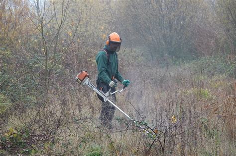 Managing habitat in the Cotswold Water Park | Cotswold Lakes Trust