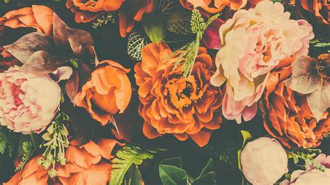 Orange Flowers With Green Leaves HD Orange Aesthetic Wallpapers | HD ...