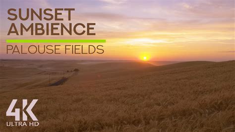 4K Sunset at Palouse Fields, WA | ProArtInc