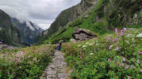 A trek to Valley of Flowers in Uttarakhand is any Himalayan hiker’s delight - TrendRadars India