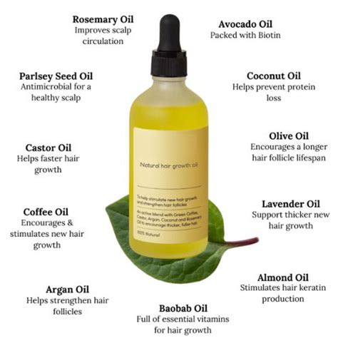 Vegan Hair Growth Oil - Lulunami