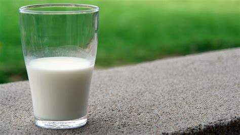 5 Raw Milk Tips: Advice for Transitioning to Farm-Fresh Milk - Rachel's Real Food Kitchen