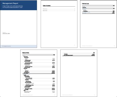 QuickBooks Online Management Reports: A Feature You Should Use