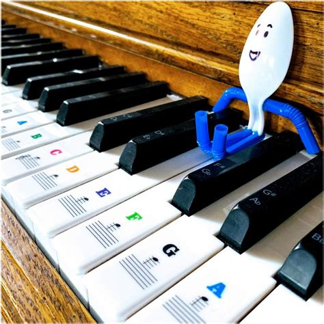 Xentyx Piano Keyboard Stickers For Beginners to Learn Key Piano Note ...