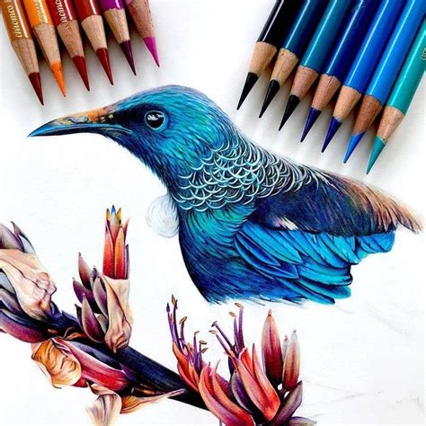 Colored Pencil Artworks on Instagram: “ Awesome Drawing 👨‍🎨 Artist: @dominique_cates_art ...