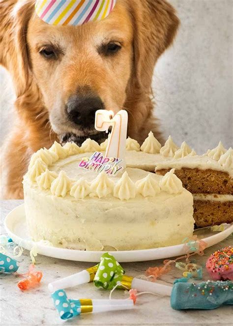 Koda's 4th birthday treat? A yummy cake from The Dog Bakery – Paw-ty time!