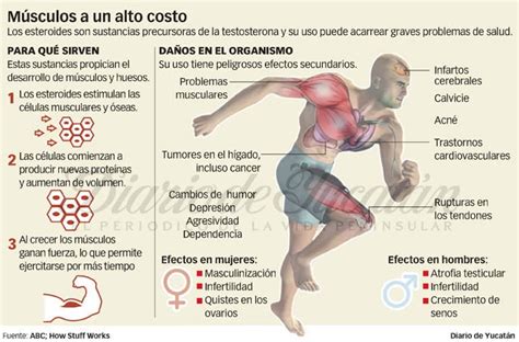 Infografía y Diseño: Efectos de los esteroides