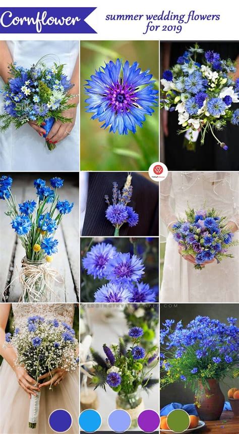 16 Stunning Summer Wedding Flowers---Cornflower wedding centerpieces ...