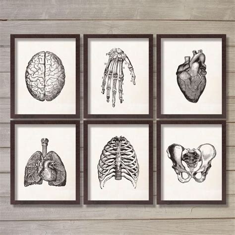 #officedesign | Medical office decor, Doctors office decor, Medical art