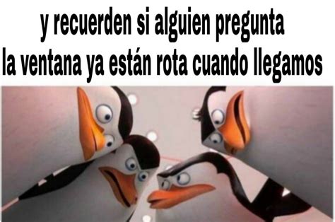 Top memes de pingüinos de madagascar en español :) Memedroid