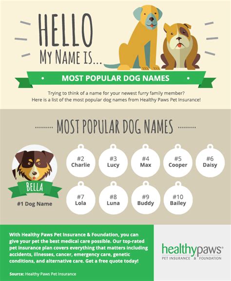 Most Popular Cute Dog Names | Healthy Paws Pet Insurance