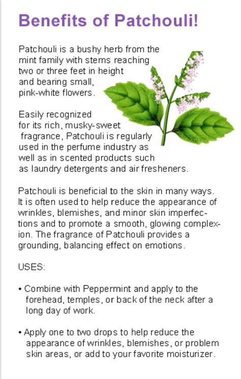 Benefits of Patchouli essential oil Patchouli is a bushy herb from the mint family.