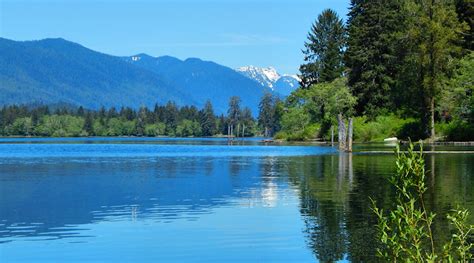 Lake Quinault | Seattle and Sound