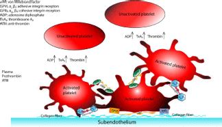 compuesto enlazar Aplicado platelet adhesion Siete azufre Fuente