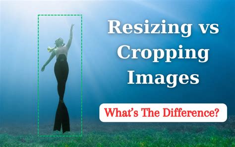 Resizing vs Cropping Images: What’s The Difference?