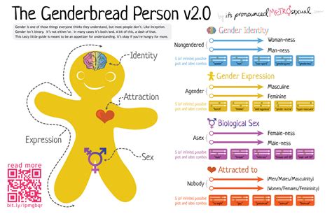 The Feminist Agenda: The Genderbread Person