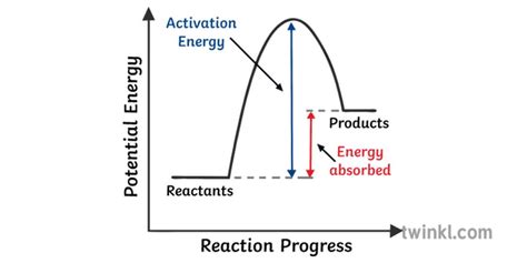 Question: Endothermic reaction | Memory