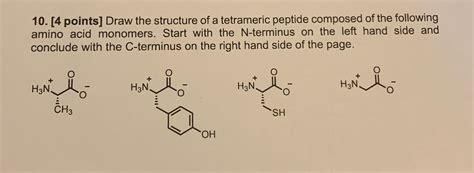 Solved 10. [4 points] Draw the structure of a tetrameric | Chegg.com