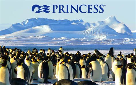 Princess Antarctica Cruise Deals, 2022, 2023 and 2024 Princess Cruises ...