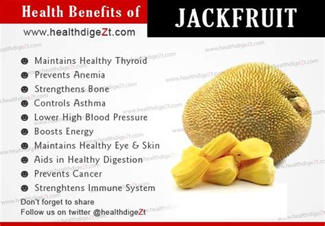 Jackfruit Leaves Benefits - Sere Fruit