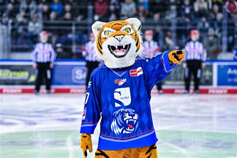 Tigers-Special für Nachwuchsmannschaften und Vereinsgruppen - Straubing Tigers