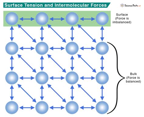 Surface Tension: Definition, Examples, and Unit