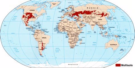 Global distribution of Mollisols | Download Scientific Diagram