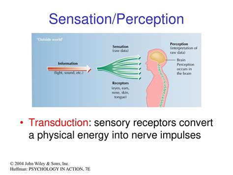 Transduction Psychology: The Mysterious World of Perception