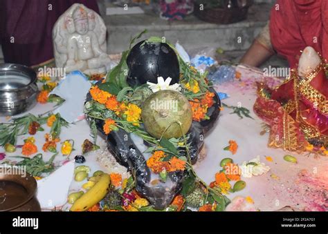 Maha Shivratri puja - Shivlinga with Bel (a fruit) during Maha Shivratri festival in India. Maha ...