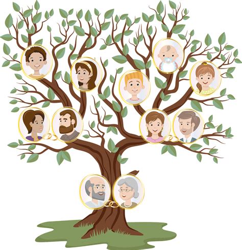 Download Family Tree, Genealogical Tree, Genealogical Table. Royalty ...