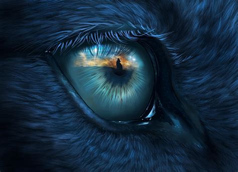 Wolf eye Digital Art by Bernadett Kovacs - Fine Art America