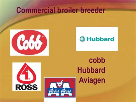 Commercial broiler breeder.pdf